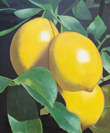 Lemons | Oil Painting | 24" x 20" x 7/8"