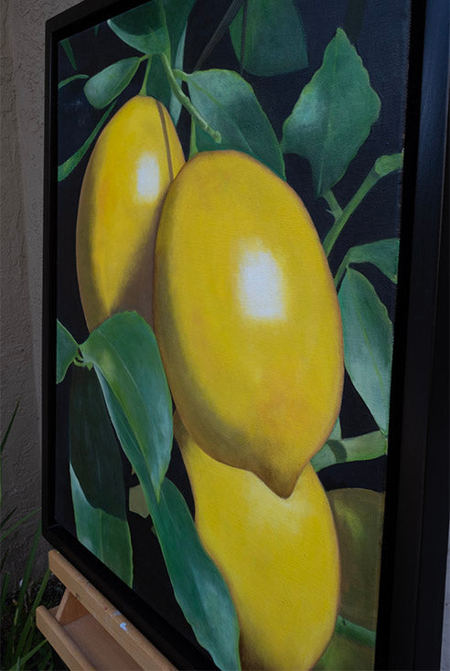 Lemons | Oil Painting | 24" x 20" x 7/8"